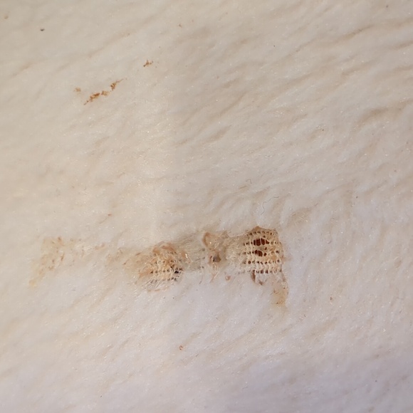 Vintage 70's Long Orange Suede & Fur Jacket Coat Size Large - Picture 10 of 12